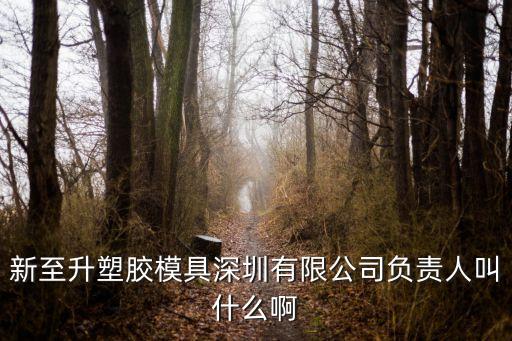 深圳塑料盧靜芳，深圳市寶安區(qū)25區(qū)裕安二路華豐商務(wù)大廈B座有叫 深圳市長田環(huán)保有