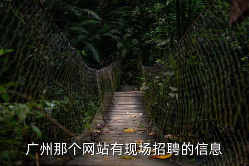 廣州那個(gè)網(wǎng)站有現(xiàn)場(chǎng)招聘的信息