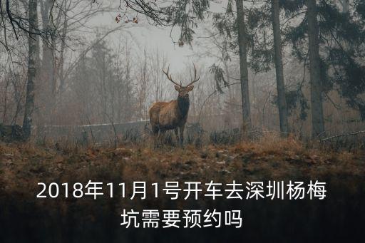 2018年11月1號開車去深圳楊梅坑需要預約嗎