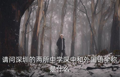 請問深圳的兩所中學深中和外國語全稱是什么