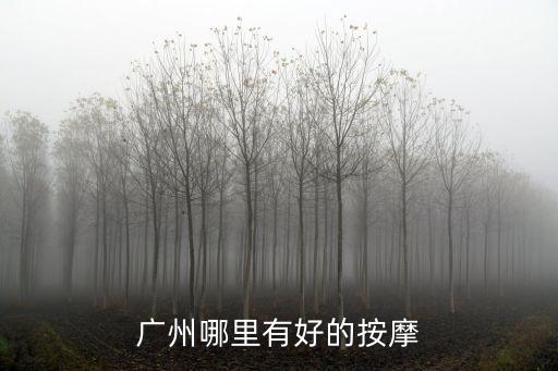 廣州上門正規按摩，在廣州市海珠區有哪家比較正規的按摩沐足中心