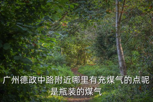廣州德政中路附近哪里有充煤氣的點呢是瓶裝的煤氣
