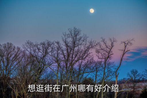 想逛街在廣州哪有好介紹