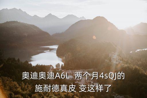 廣州施耐德真皮，廣州產(chǎn)施耐德是不是正宗廠家