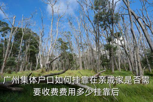 廣州社區集體戶口費用，廣州集體戶口如何掛靠在親戚家是否需要收費費用多少掛靠后