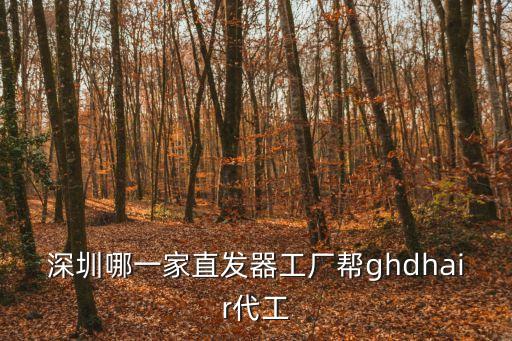 深圳哪一家直發(fā)器工廠幫ghdhair代工