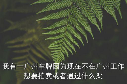 廣州取消車牌拍賣會，我今天取消了廣州市車牌搖號立刻申請競價但是提交的時候系統說
