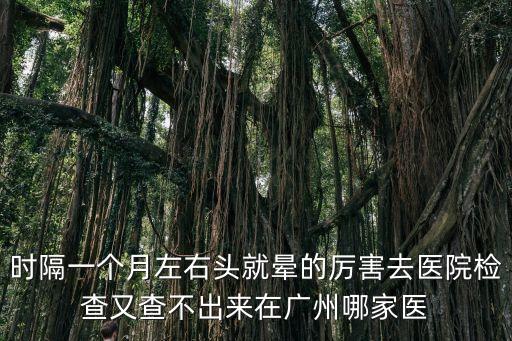 時(shí)隔一個(gè)月左右頭就暈的厲害去醫(yī)院檢查又查不出來(lái)在廣州哪家醫(yī)