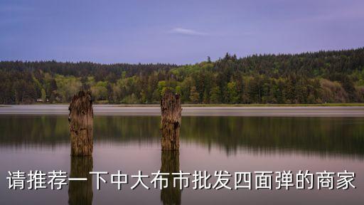 廣州森恒勝布業(yè)，那家公司做品牌炒作的效果最好呢