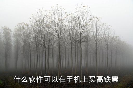 廣州買高鐵票的APP，什么軟件可以在手機(jī)上買高鐵票