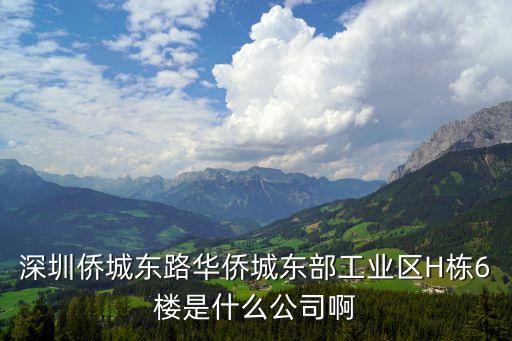 深圳市雅麗特商貿有限公司，深圳僑城東路華僑城東部工業區H棟6樓是什么公司啊