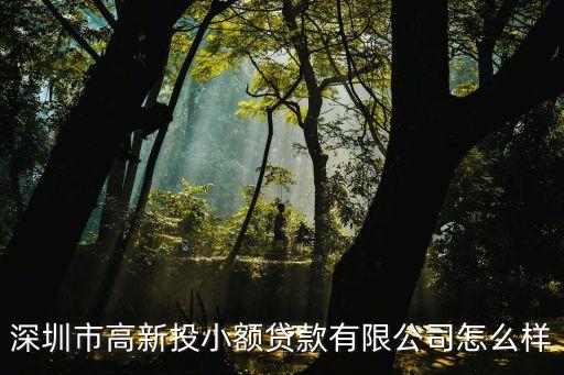 高新投資 深圳，深圳市高新投集團有限公司靠譜嗎