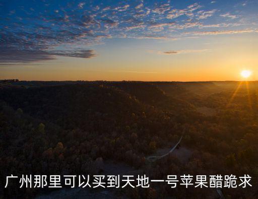 天地一號廣州很火，廣州那里可以買到天地一號蘋果醋跪求