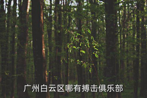 廣州市白云區賭博，廣州白云區哪有搏擊俱樂部