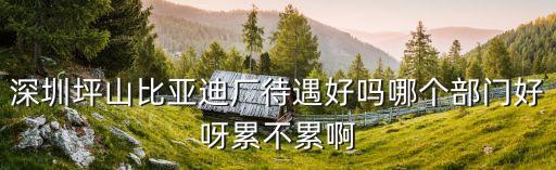深圳坪山比亞迪廠待遇好嗎哪個部門好呀累不累啊