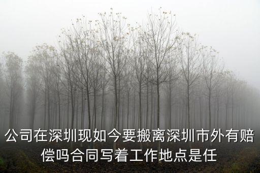 深圳工視在現直撞，深圳市的泥土車今年撞死了幾個人