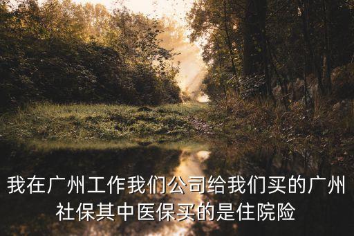 我在廣州工作我們公司給我們買的廣州社保其中醫(yī)保買的是住院險