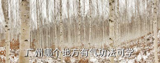 廣州少林氣功學會，廣州哪個地方有氣功法可學