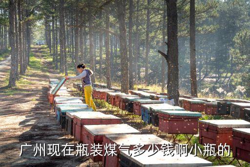 廣州瓶裝煤氣罐 價格，請問廣州煤氣罐多少錢一個一罐煤氣多少錢大的小的都和我說說
