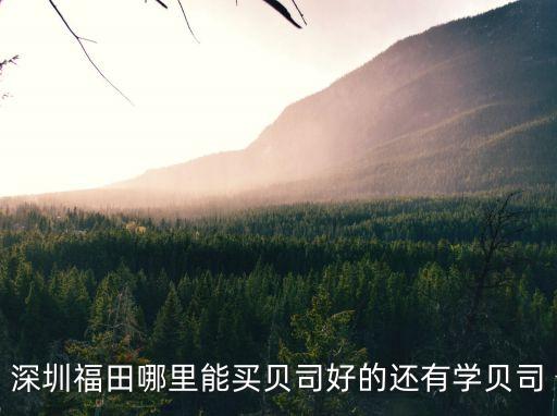 深圳福田哪里能買貝司好的還有學貝司
