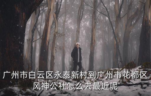 廣州市白云區(qū)永泰新村到廣州市花都區(qū)風(fēng)神公社怎么去最近呢