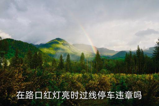 廣州紅燈越線，機動車在十字路口提示紅燈的時候越線十米停止交警判定闖紅燈扣