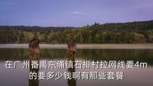 在廣州番禺東涌鎮石排村拉網線要4m的要多少錢啊有那些套餐