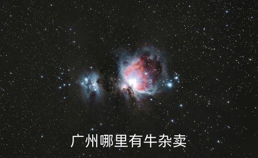 廣州哪里有牛雜賣