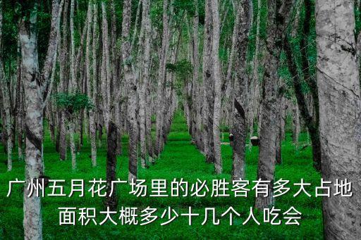 廣州五月花廣場里的必勝客有多大占地面積大概多少十幾個人吃會