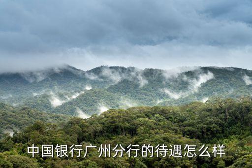 中國銀行廣州分行的待遇怎么樣