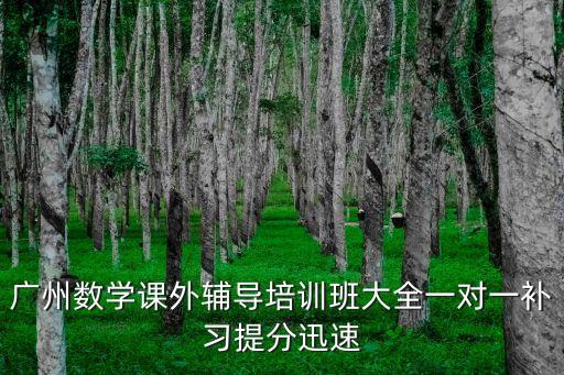 廣州數學課外輔導培訓班大全一對一補習提分迅速