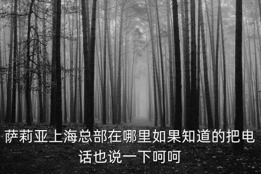 薩莉亞上海總部在哪里如果知道的把電話也說一下呵呵