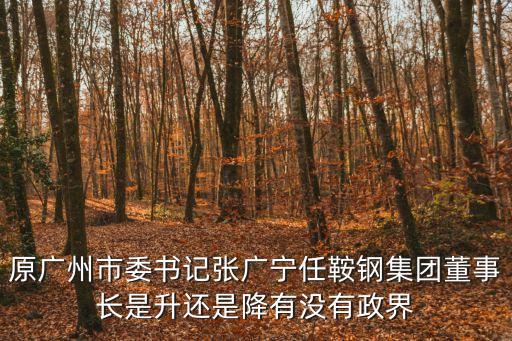 廣州市委換屆，廣州市換屆選舉何時結束