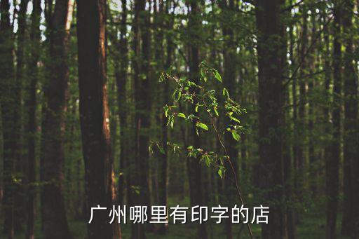 廣州全印，廣州西門口哪里有整全開紙的打印店