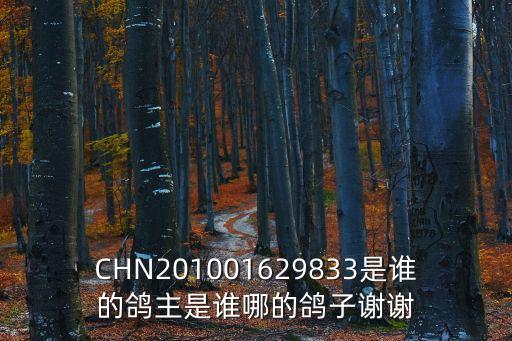 CHN201001629833是誰的鴿主是誰哪的鴿子謝謝