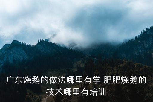 廣東燒鵝的做法哪里有學(xué) 肥肥燒鵝的技術(shù)哪里有培訓(xùn)