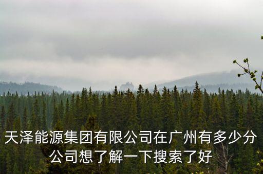 天澤能源集團有限公司在廣州有多少分公司想了解一下搜索了好