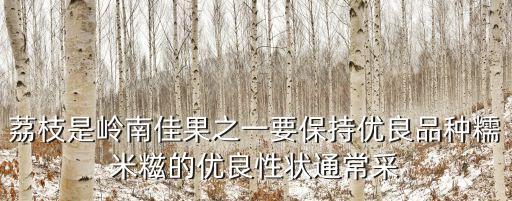 廣州糯米糍荔枝，廣州從化那里有荔枝摘啊要糯米糍桂味