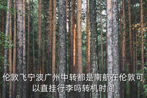 倫敦飛寧波廣州中轉都是南航在倫敦可以直掛行李嗎轉機時間