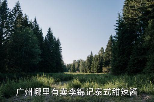 廣州哪里有賣李錦記泰式甜辣醬