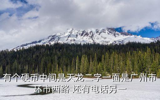 廣州市天龍幣圖，有個硬幣中間是天龍二字一面是廣州市環市西路 還有電話另一