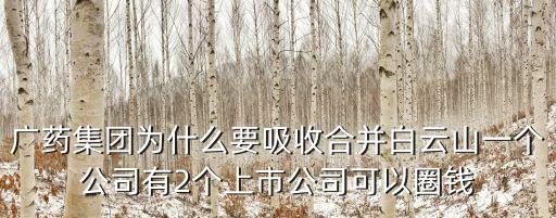 廣州祿盛能上市么，808什么時候上市大概什么價格