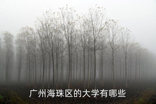 廣州海珠區(qū)的大學(xué)有哪些