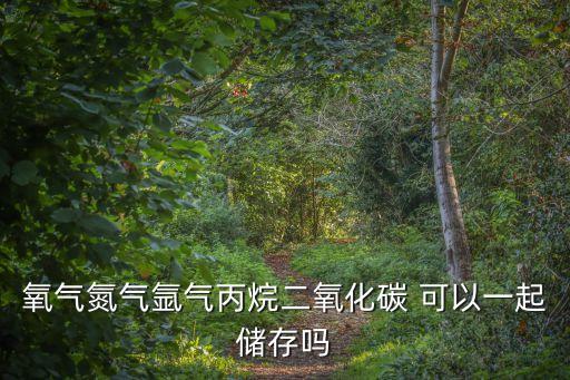 廣州世源氣體有限公司，國家二級標準氣體在檢定有效期內是否需要做穩定性考核