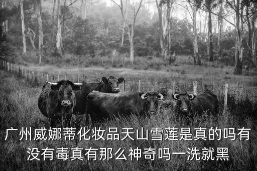 廣州市威娜化妝品，廣州威娜蒂化妝品天山雪蓮是真的嗎有沒有毒真有那么神奇嗎一洗就黑