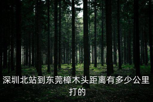 深圳北站平均打車距離，深圳站打車到深圳北站多少時間