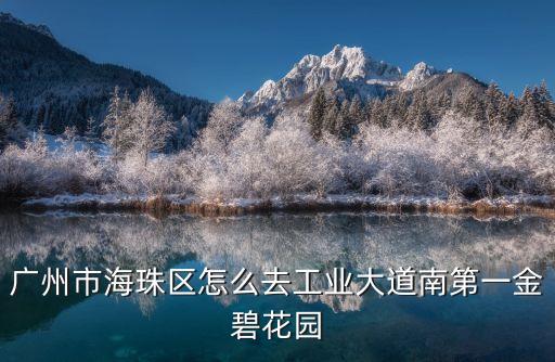 廣州市海珠區怎么去工業大道南第一金碧花園