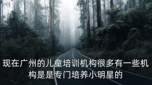 現在廣州的兒童培訓機構很多有一些機構是是專門培養小明星的