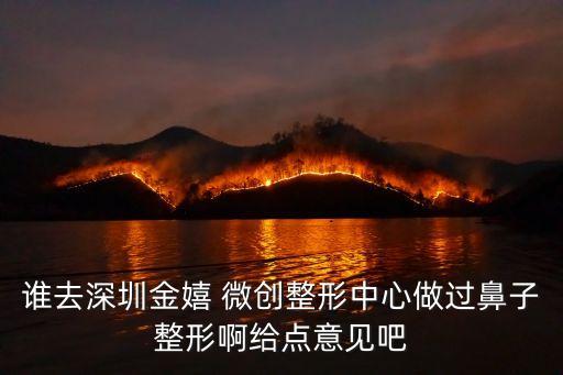 誰去深圳金嬉 微創(chuàng)整形中心做過鼻子整形啊給點意見吧