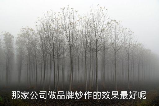 那家公司做品牌炒作的效果最好呢